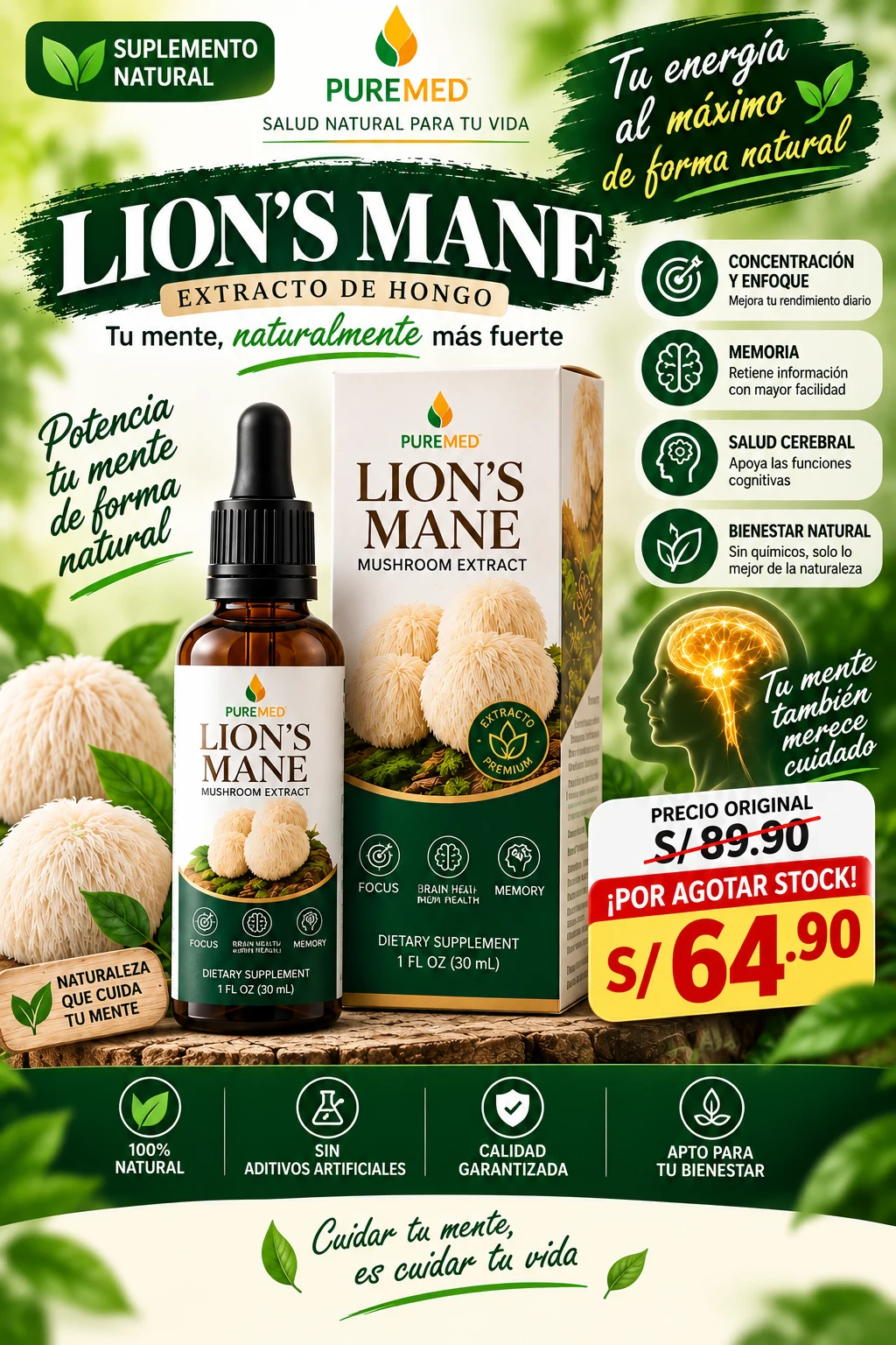 Lion's Mane Mushroom Extract